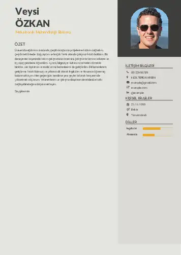 Mekatronik Mühendisliği Cv Örnekleri cv indir